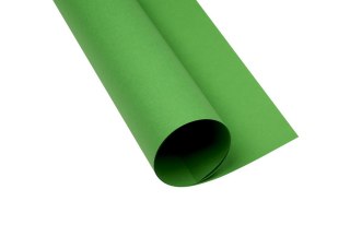 Karton kolorowy Oxford B1 225g 25ark nr.68 zielony 400150268 TOP-2000