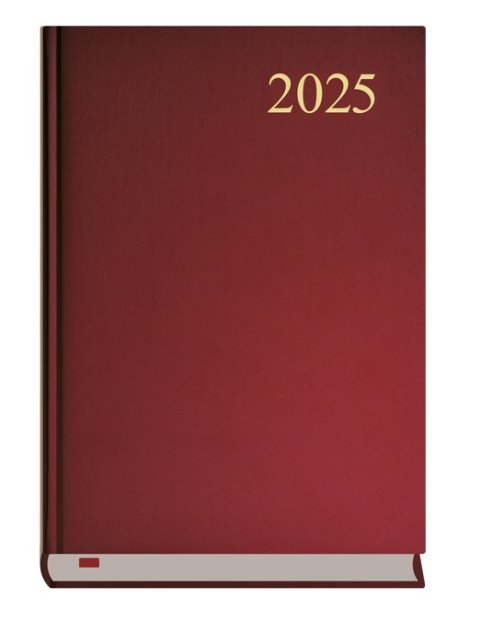 Kalendarz Asystent A5 2025 - bordo Michalczyk i Prokop T-237C-B
