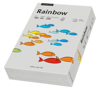 Papier xero kolorowy A4 160g. szary R96 RAINBOW 88042813