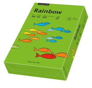 Papier xero kolorowy RAINBOW ciemnozielony R78 88042681