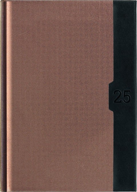 Kalendarz A-5 STANDARD książkowy (KS1), 22 - złoty linea / czarny 2025 TELEGRAPH